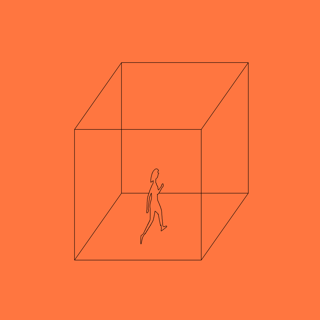 2D person trapped in a 3D cube