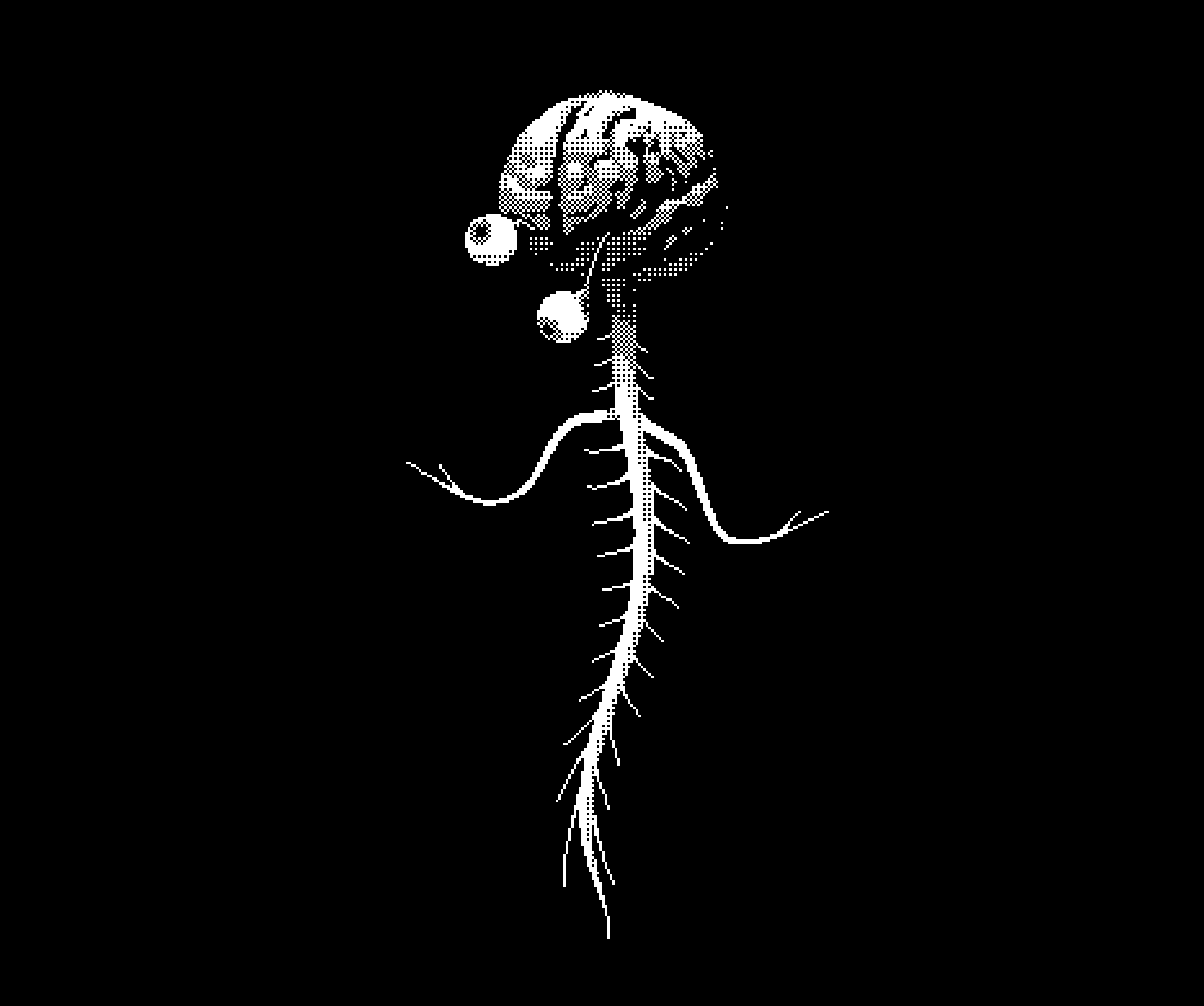 The sexiest spinal column you've ever seen